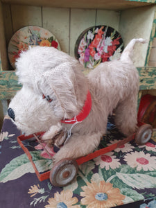 Vintage dog on wheels